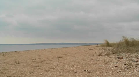 Beach Dune Time-lapse Stock Footage 8360067