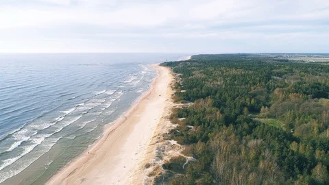 Beach Dunes and Forest at Baltic Seaside, Aerial View Video stock 90049299