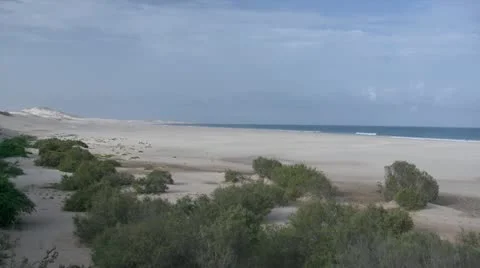 Beach dunes Video stock 20450058