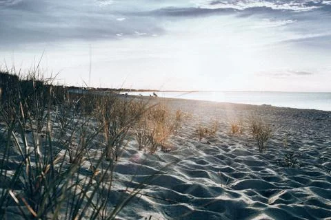 Beach dunes landscape Stock Photos