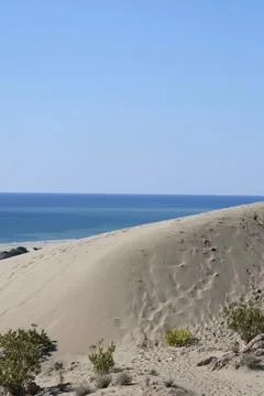 Beach dunes mountains Stock Photos