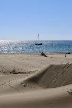 Beach dunes Stock Photos