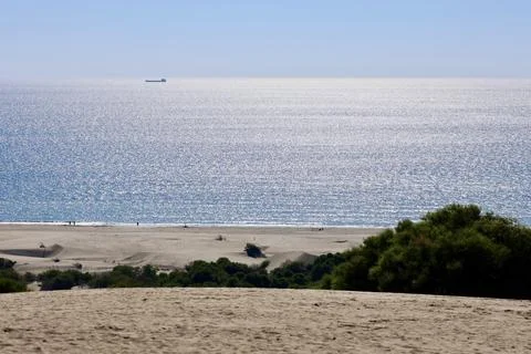 Beach dunes Stock Photos