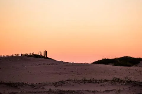 Beach dunes silhouette Stock Photos