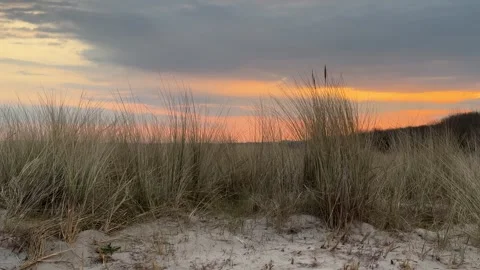 Beach dunes at sunset in Graal-Mritz, Germany. Stock Footage 318526872