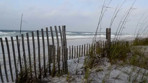 Beach Dunes with Waves 動画素材 75816891