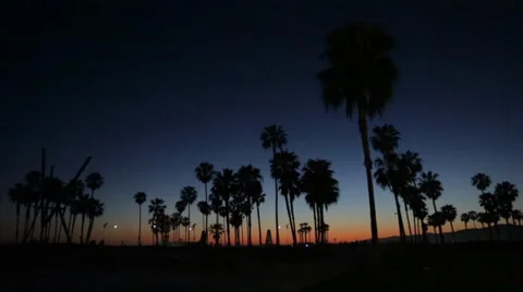 Beach during sunset with palm trees and an airplane flying over the ocean. Stock Footage 37059404