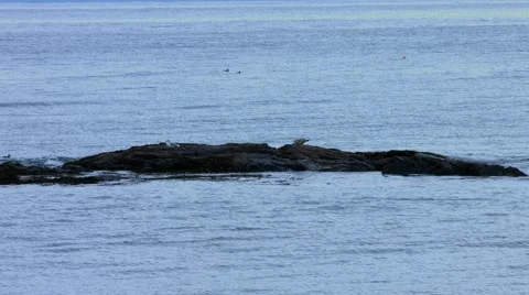 Beach During The Winter 動画素材 45370396