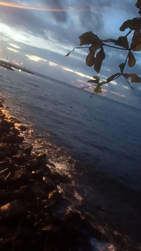 Beach at dusk Stock Footage 234048664