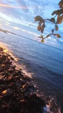 Beach at dusk Stock Photos