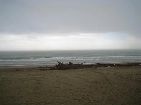 The beach duwing winter Stock Photos