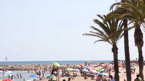 On the Beach (Editorial Use Only) Stock Footage 135450185