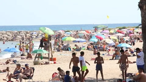 On the Beach (Editorial Use Only) Stock Footage 135450186