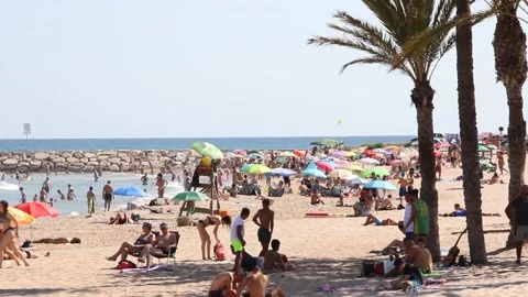 On the Beach (Editorial Use Only) Stock Footage 135450188