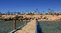 Beach in Egypt HD Footage