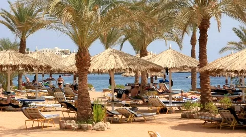 Beach in Egypt Stock Footage 872508