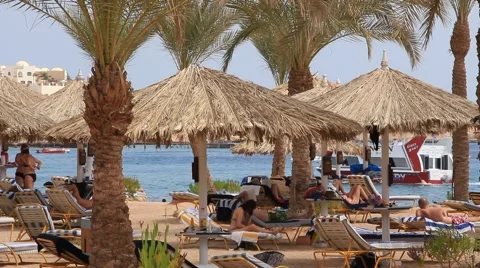 Beach in Egypt Video stock 890411
