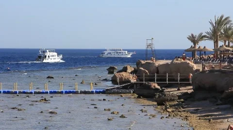 Beach in Egypt Stock Footage 951137