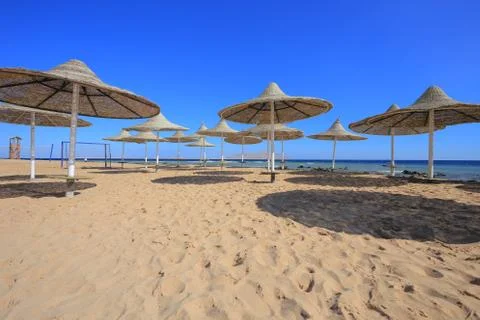 Beach in egypt Фото