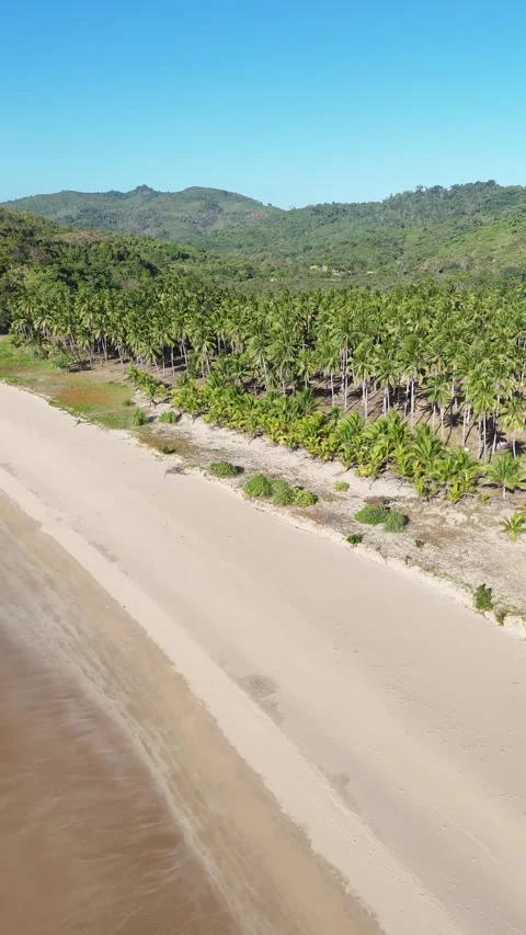 Beach (El Nido - Philippines) Stock Footage 278235590