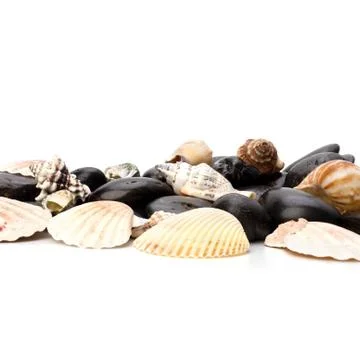 Beach elements background Stock Photos