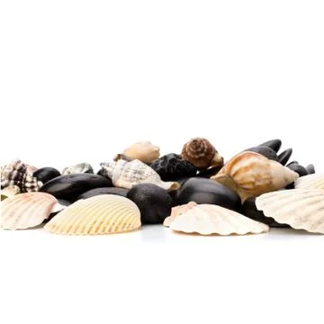 Beach elements background Stock Photos