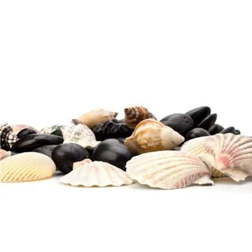 Beach elements background Stock Photos
