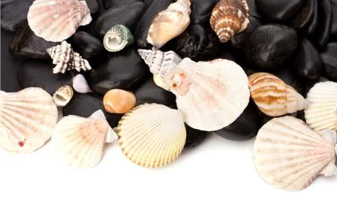 Beach elements background Stock Photos