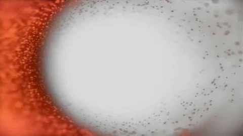 Beach Elements, Slide In:  Looping Stock Footage 69919675