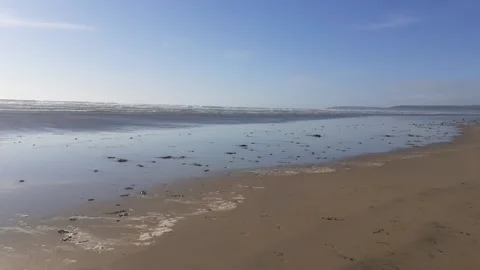 Beach England Stock Footage 156071473