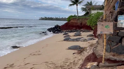 Beach Entrance 4 Stock Footage 236261036