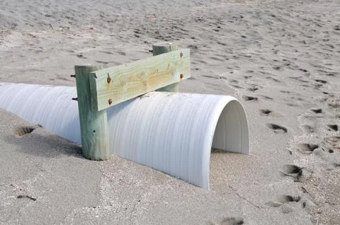 Beach Erosion Control Stock Photos