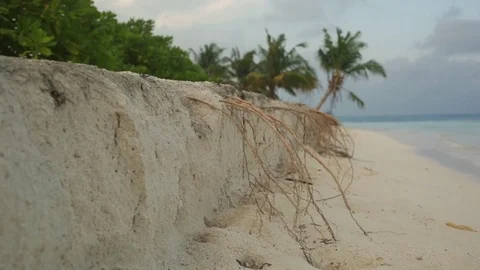 Beach erosion Stock Footage 79979484
