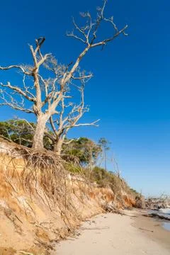 Beach erosion Stock Photos