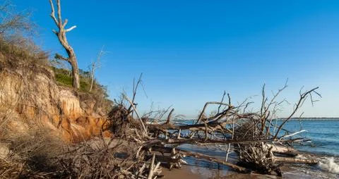 Beach erosion Stock Photos