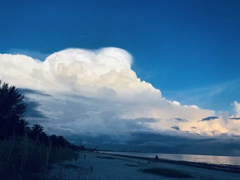 Beach Estero Island 写真素材