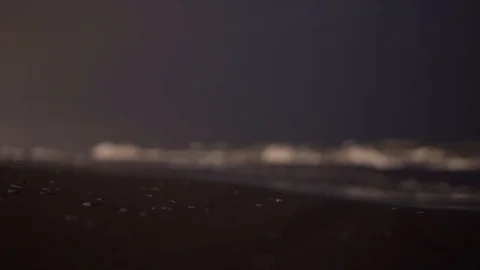 Beach in the evening Video stock 115507389