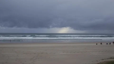 Beach Exercise 스톡 동영상 191477837