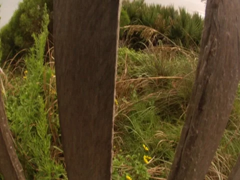 Beach Fence Stock Footage 8701769