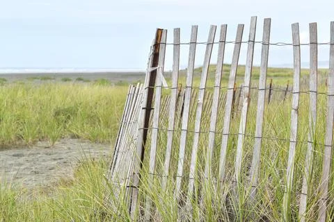 Beach Fence Stock Photos