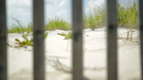 Beach Fence Sand Dunes Rack Focus Stock Footage 53488694