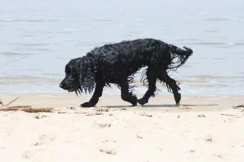Beach finder Stock Photos