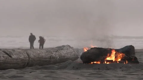 Beach Fire Burning With Couple Walking Coast Stock Footage 241428780