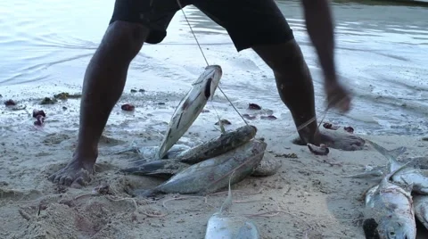 Beach Fishing Stock Footage 63231562