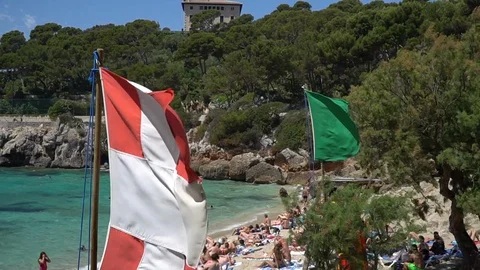 Beach flags wind Stock Footage 128348482