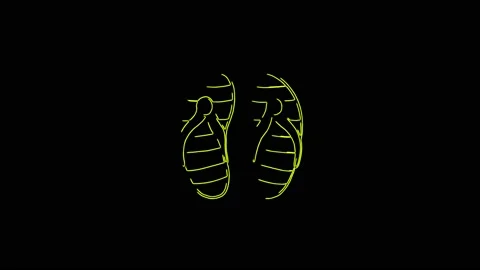 Beach flip flops moving line icon on black background. 4K video neon line Stock Footage 148837148