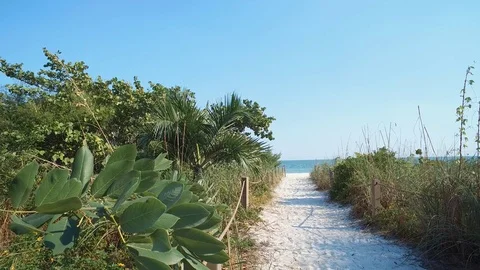 BEACH, FLORIDA GULF, SANDY PATH TO BEACH Stock Footage 71456715