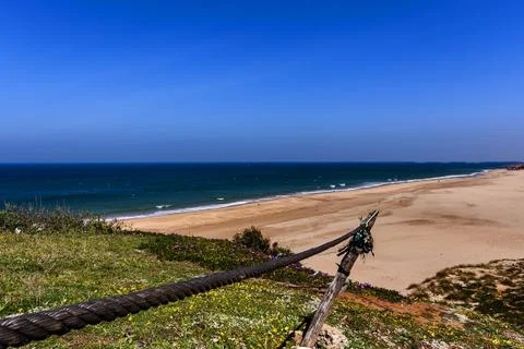 Beach with flowers Stock Photos