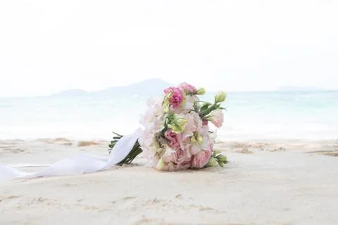 Beach flowers Stock Photos