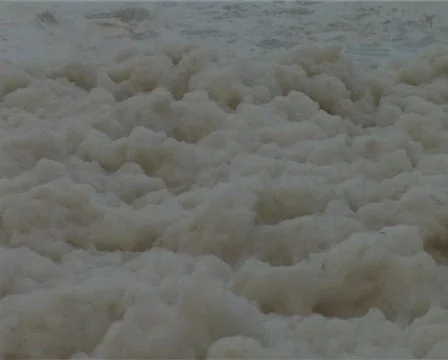 Beach foam Stock Footage 144644